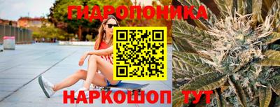 ПСИЛОЦИБИНОВЫЕ ГРИБЫ Краснознаменск