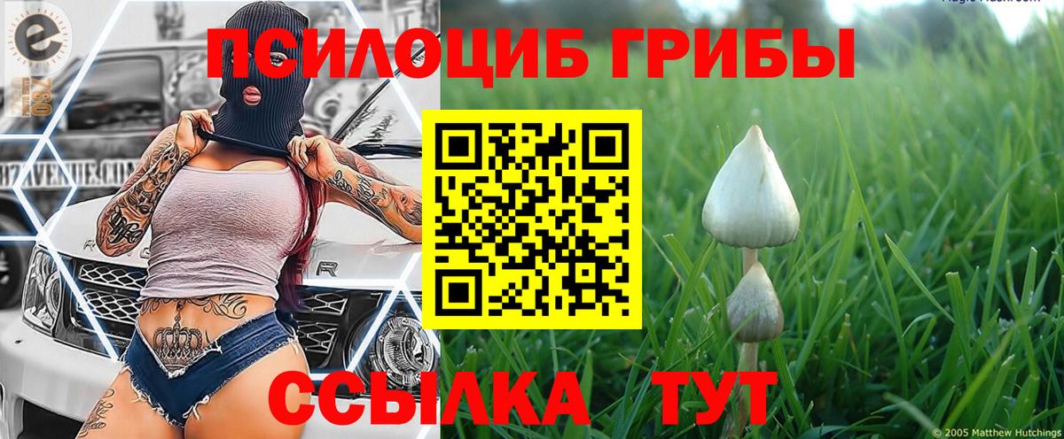 Галлюциногенные грибы GOLDEN TEACHER Шахты